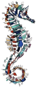 Seahorse Divers