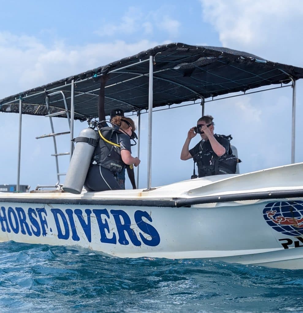Seahorse Diving boat with divers preparing for a dive
