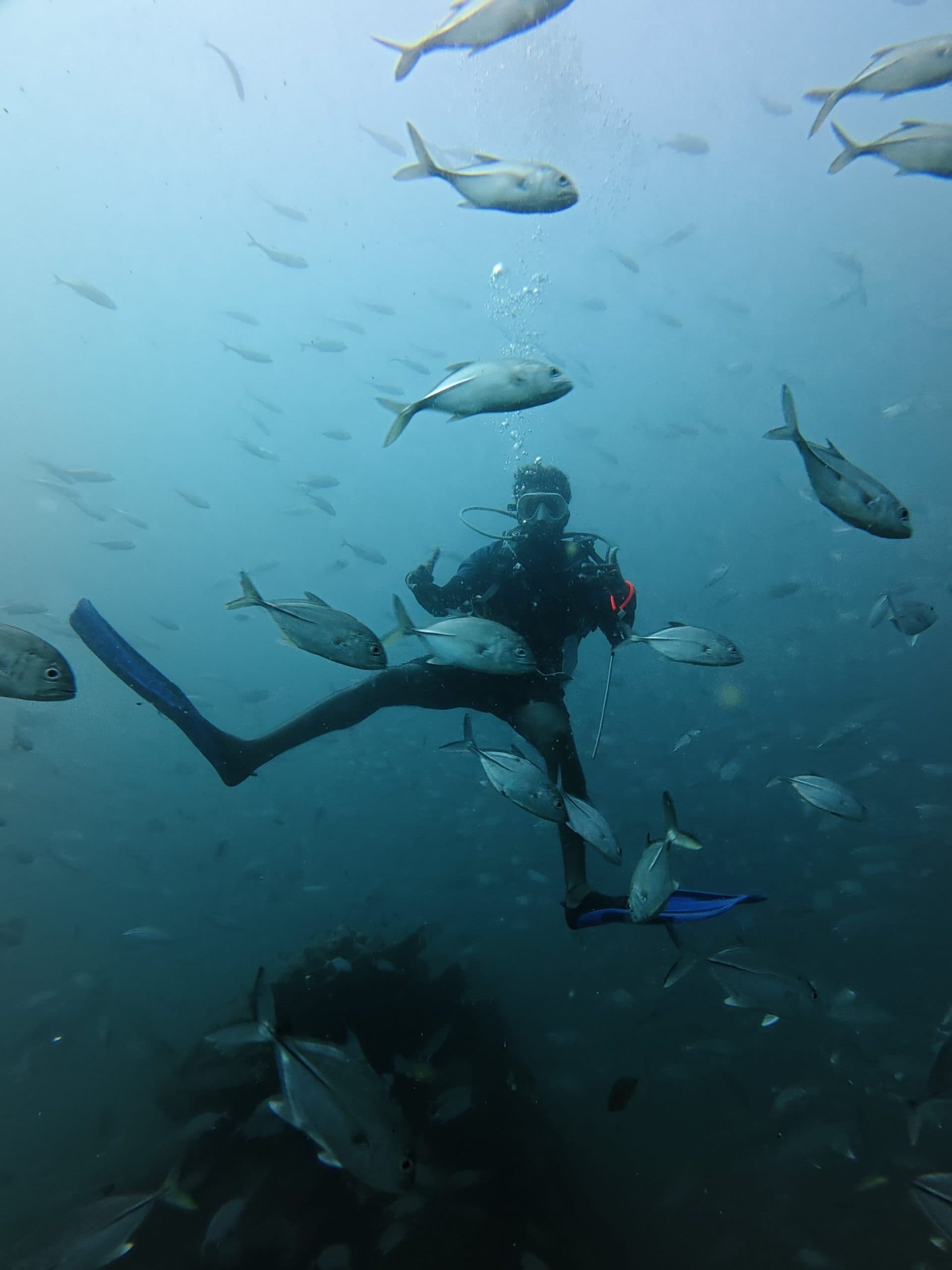 Divers exploring the reefs around Unawatuna